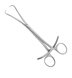 Orthopedic fragment holding forceps